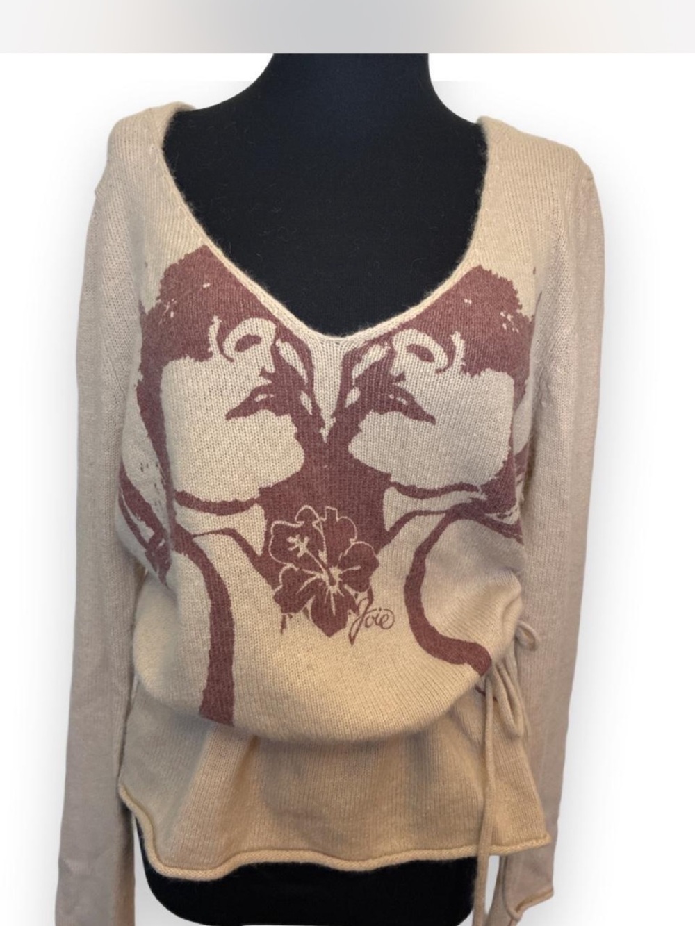 Joie Beige V-Neck Sweater with Mauve Floral Graphic